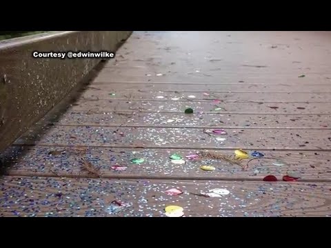 FGCU professor warns of glitter and confetti impact on the environment