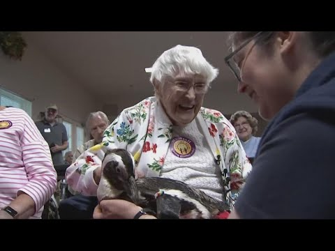 Ten True Tales of Penguins - 90