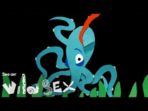 Sticking a Penis Into a Nostril: The Wild Story of Octopus Sex