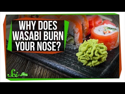 Why Does Wasabi Burn Your Nose?