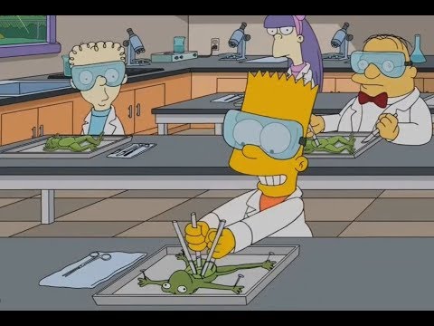 The Simpsons-The Way Bart Dissects Frogs!