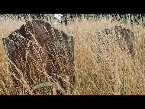 Oregon Trail: What Happened To The Real Diseases That Killed?