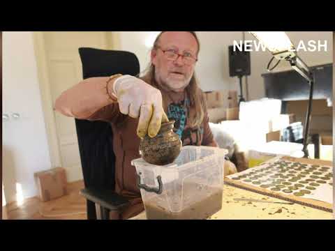 Pet Dog Finds Hundreds Of King Wenceslas Silver Coins