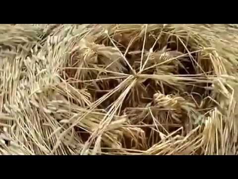 REAL UFOS Filmed Making CROP CIRCLES in Wiltshire, England