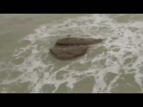 The Mermaid that was Caught on tape in Kiryat Yam, Israel