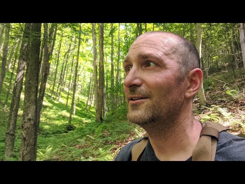 Pennsylvania backwoods - hiking and camping in Hammersley Wild Area: Adventure Man USA - Ep. 27
