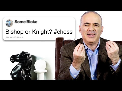Garry Kasparov Answers Chess Questions From Twitter | Tech Support | WIRED