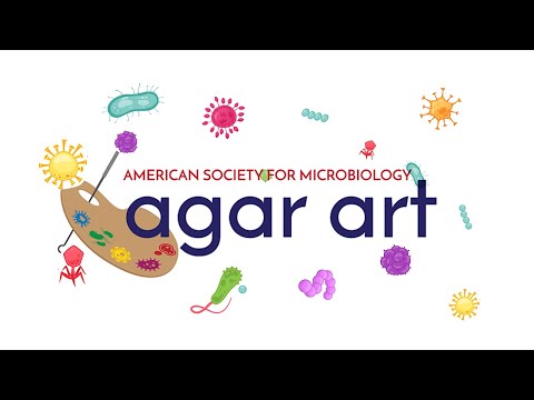 Why Submit Your Microbial Art to the ASM Agar Art Contest