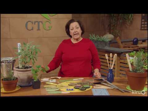 Creative Plant Tags |Trisha Shirey| Central Texas Gardener