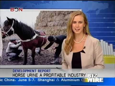 Horse urine a profitable industry - Biz Wire May 22 - BONTV