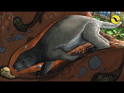 Ancient Crazy Beast From Madagascar