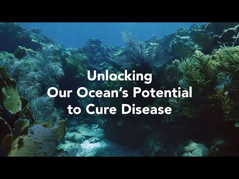 Unlocking Our Ocean’s Potential to Cure Disease