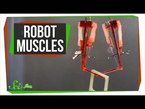 Why Scientists are Giving Robots Human Muscles