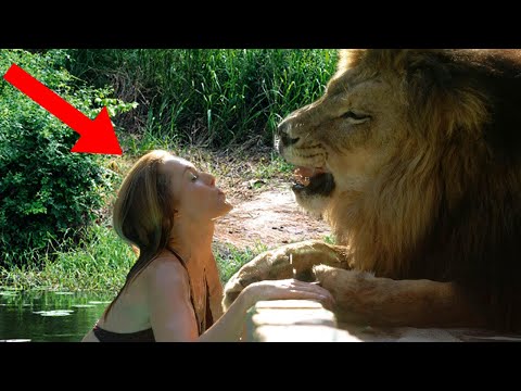 Most AMAZING Lion Tamers In The World!