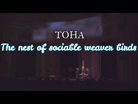 Toha(Weirdest Musical Instruments)