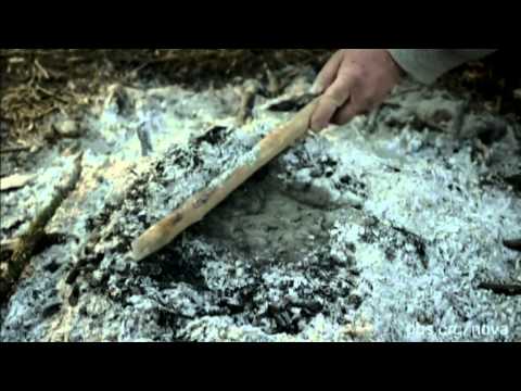 Neanderthal Superglue