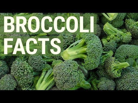 6 Healthy Facts About Broccoli You May Not Know About