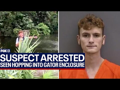 Man accused of jumping into Busch Gardens alligator gator enclosure arrested