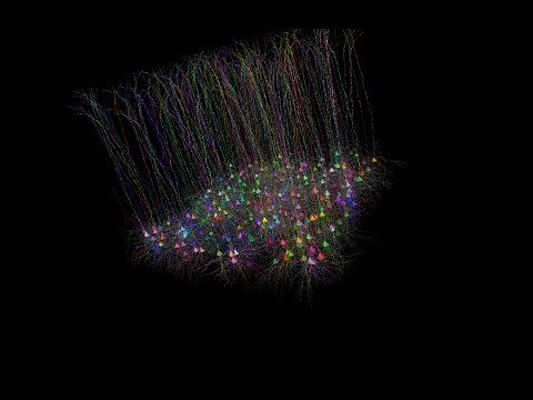 Modeling 10,000 neurons