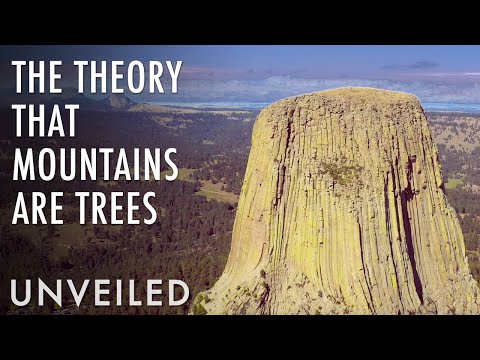 The Strange Theory That Mountains Are Trees | Unveiled