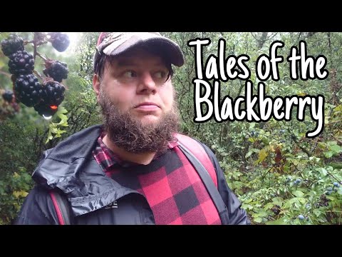 The Blackberry&#039;s Superstitions, Myths &amp; Folklore