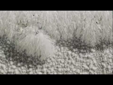 Ice Crystals Growing Time lapse