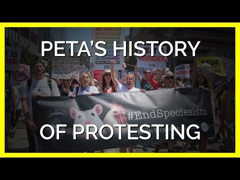 How Years of PETA Protests Have Made Changes for Animals