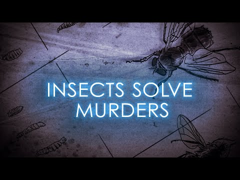 True Crimes: Bugs catch killer | The Science of Crime | Full Documentary