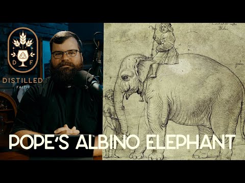 Hanno, the Pope&#039;s Albino Elephant // Distilled Faith