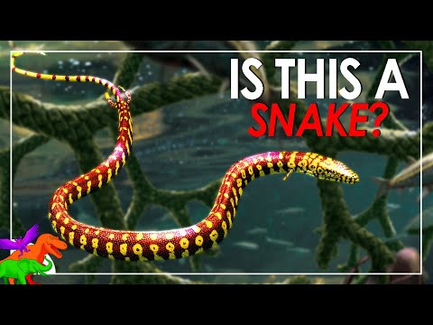 Tetrapodophis (The First Snake) ISN’T A SNAKE!? – Plus Paleontological Colonialism At Work