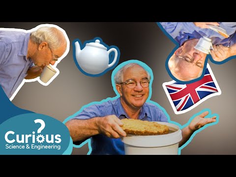 A New And Improved Way To Dunk Biscuits In Your Tea! | Curious?: Science and Engineering