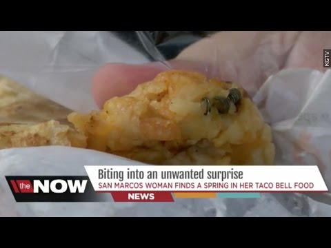 Woman Claims She Found Spring In Taco Bell Food - Newsy