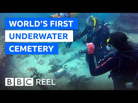 The world&#039;s first underwater cemetery - BBC REEL