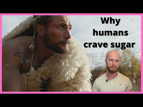 Why do humans LOVE sugars &amp; fats? (history of food)