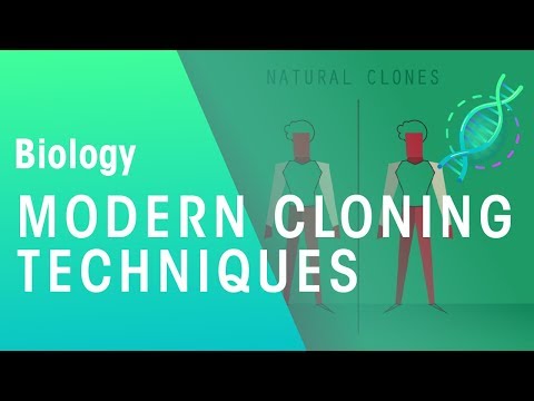 Modern Cloning Techniques | Genetics | Biology | FuseSchool
