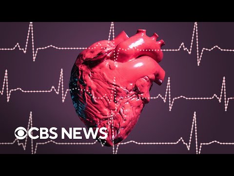 How the heart can change our perception of time