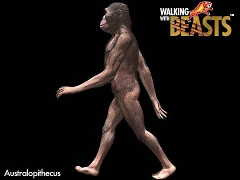 TRILOGY OF LIFE - Walking with Beasts - &quot;Australopithecus afarensis&quot;