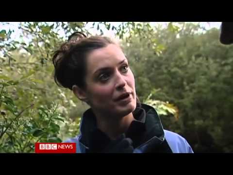 Searching for the Isle of Man&#039;s wild wallabies