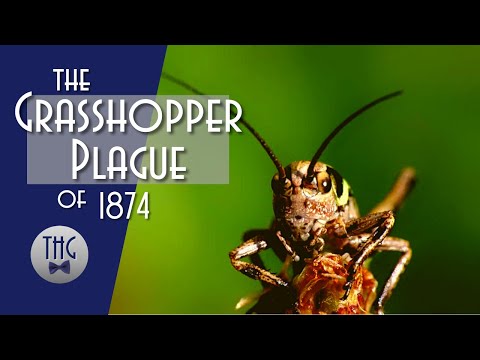 The Great Kansas Grasshopper Plague of 1874