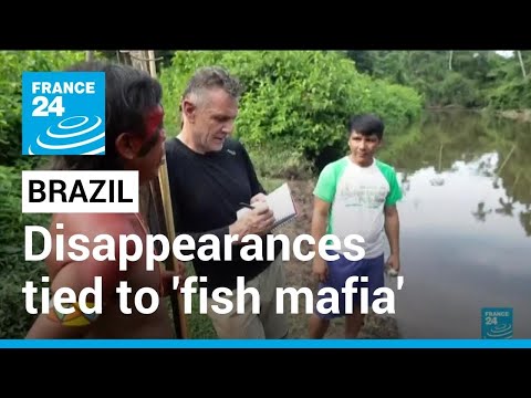 Pair&#039;s disappearance in Brazil&#039;s Amazon tied to &#039;fish mafia&#039; • FRANCE 24 English