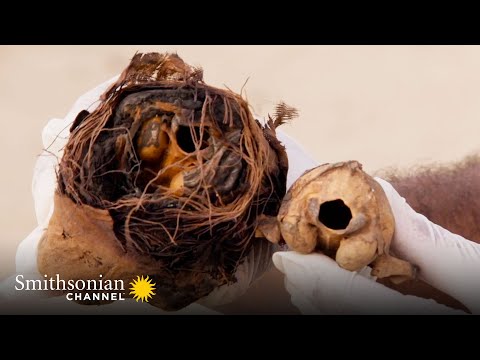 Cat Mummies Were a Big Thing in Ancient Egypt 🐈‍⬛ | Smithsonian Channel