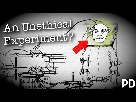 The Dark side of Science: The 1970 Monkey Head experiment (Short Documentary)