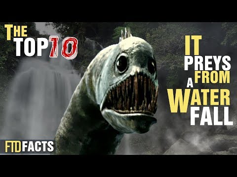 Top 10 Creepy Creatures That Might Exist - 30