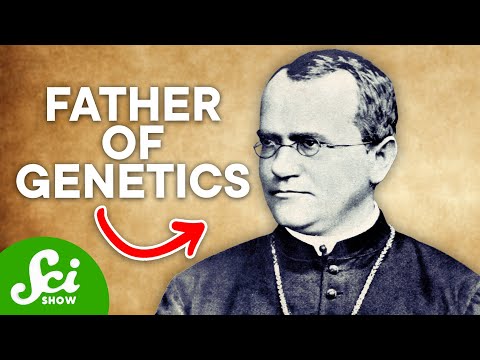 The Man Who Discovered Dominant &amp; Recessive Genes: Meet Gregor Mendel