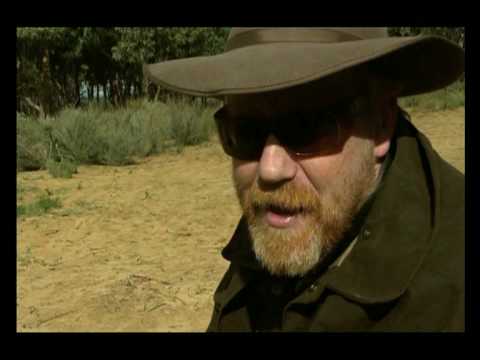 Mythbusters - the Elephant and the Mouse
