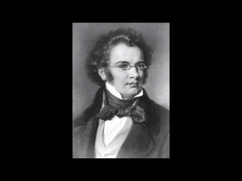 Schubert - Symphony No. 8 (Unfinished): I. Allegro moderato [HQ]