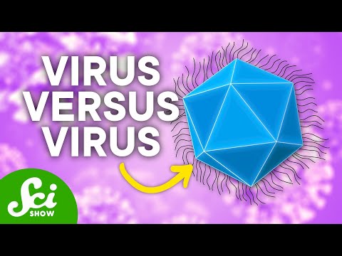 Top 10 Viral Facts About Viruses - 13