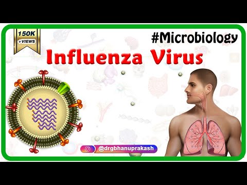 Influenza Virus Microbiology Animation