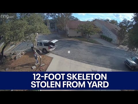 Security footage of person stealing 12-foot skeleton from Northwest Austin neighborhood | FOX 7 Aust