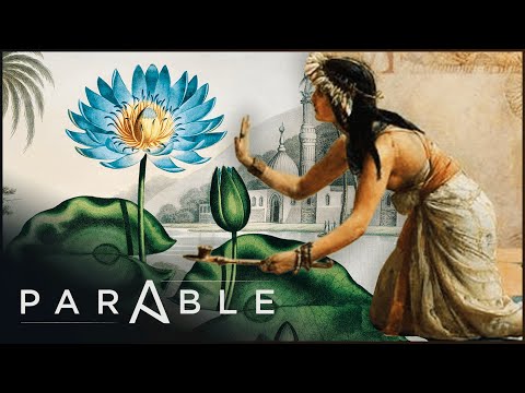 The Mysterious Blue Lotus Ritual Of The Ancient Egyptians | Private Lives Of Pharaohs | Parable